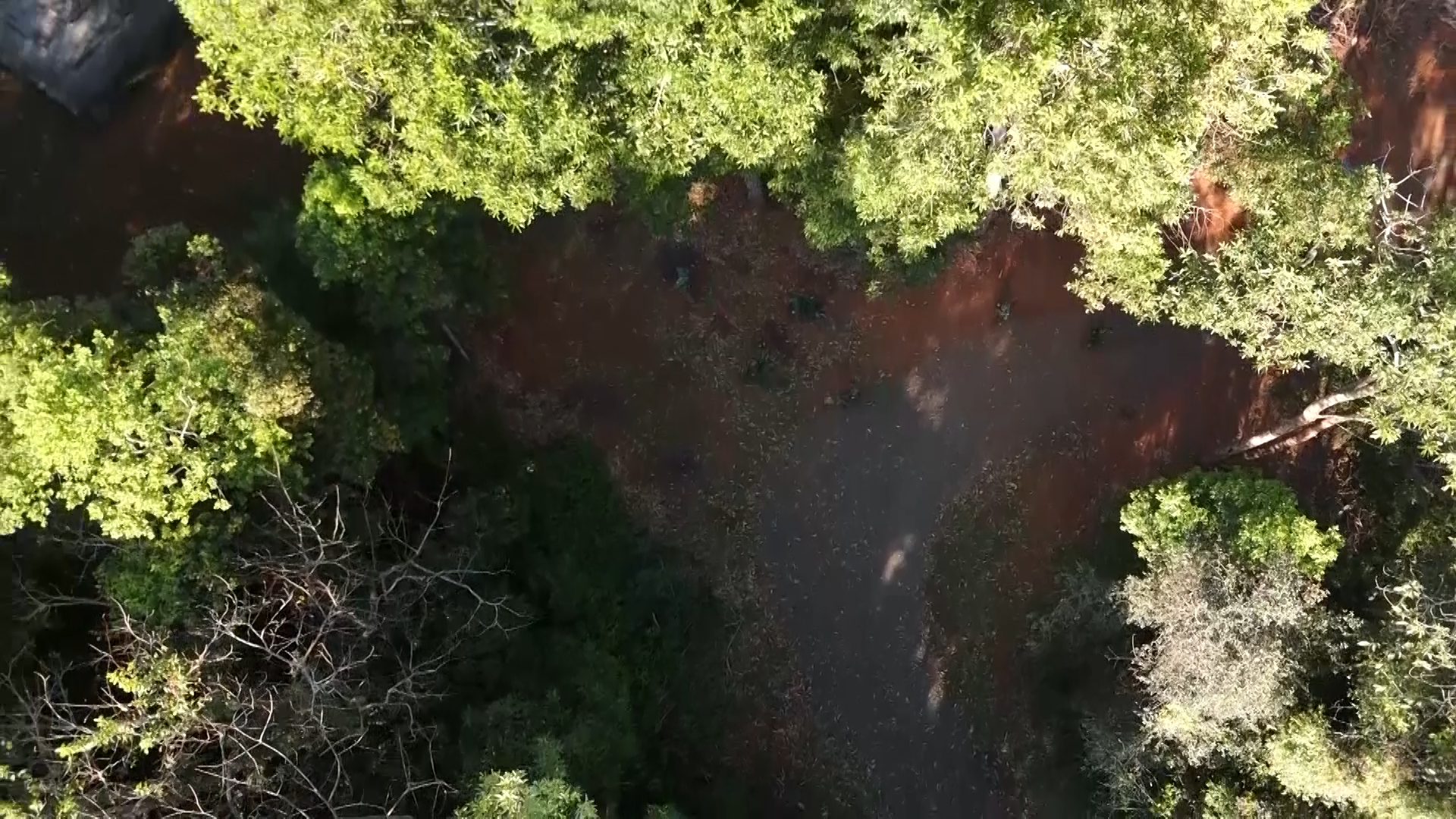 Vì chủ quyền an ninh biên giới ngày 26/1/2026