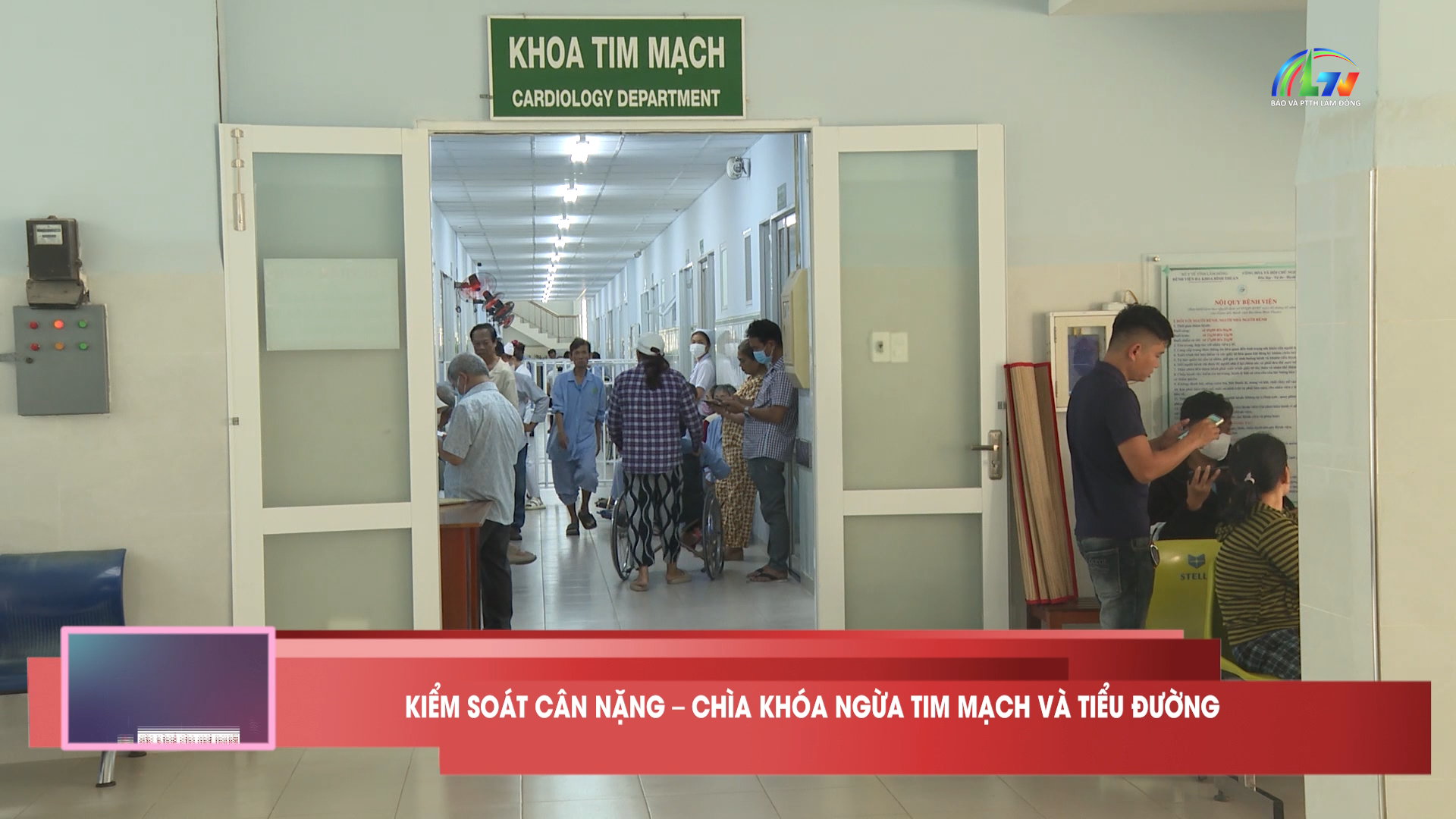 Sức khoẻ cho mọi người ngày 11/5/2026