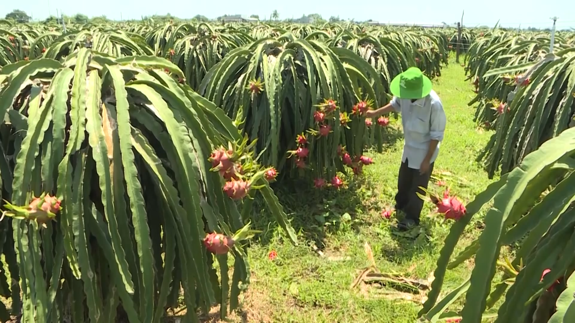 Chào ngày mới ngày 28/4/2026