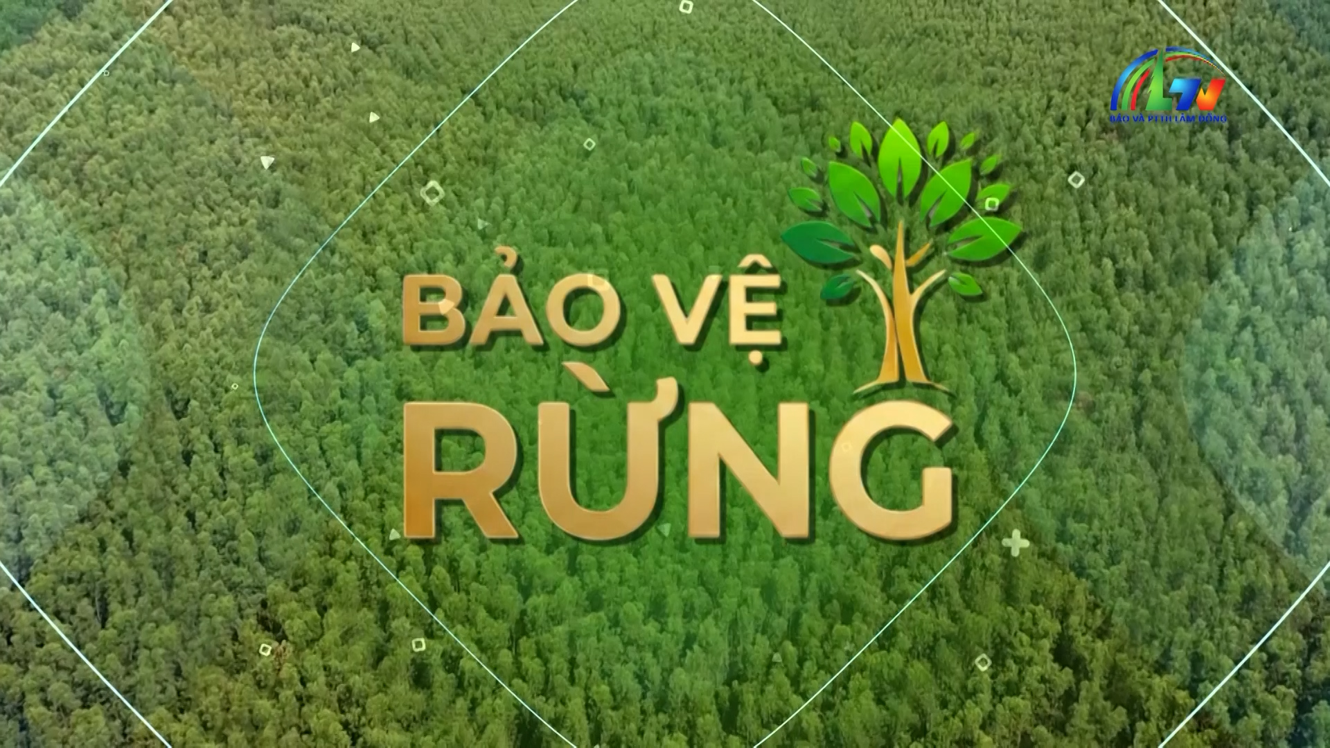 Bảo vệ rừng ngày 28/5/2026