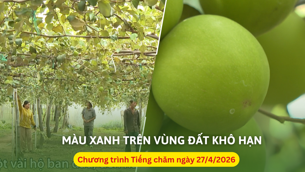 Đông Giang giữ rừng mùa khô