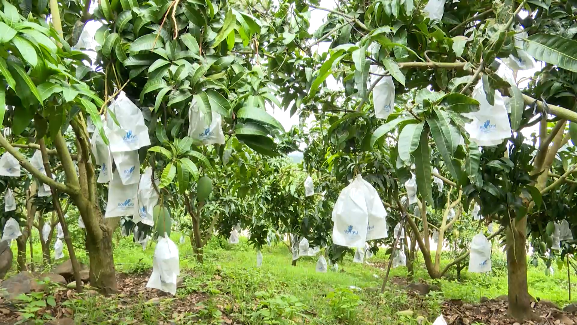 Giảm nghèo bền vững ngày 30/3/2026