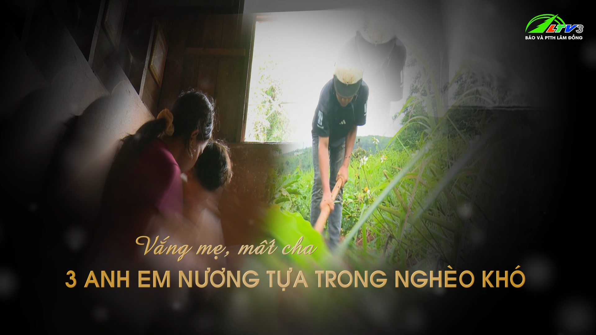 Lan tỏa yêu thương ngày 26/7/2025