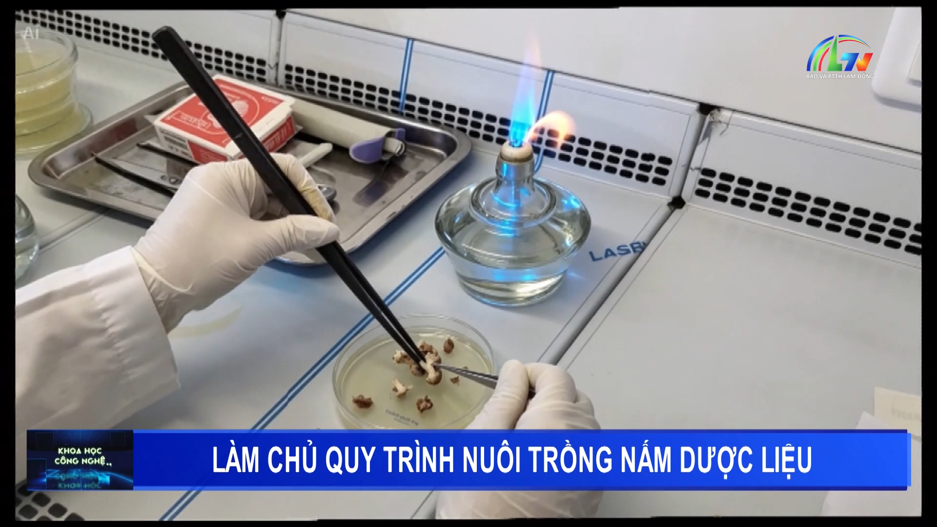 Khoa học và công nghệ ngày 8/6/2026