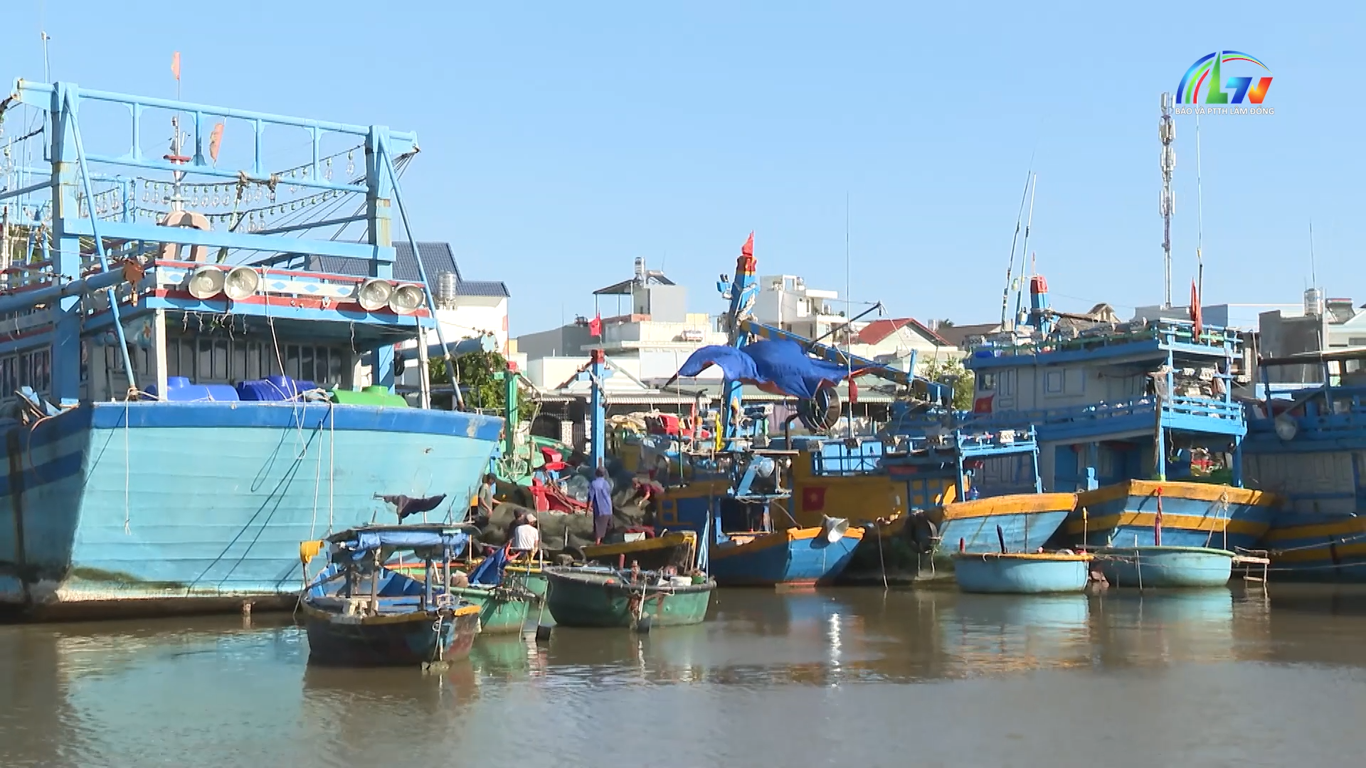 Dọc miền quê biển ngày 25/6/2026