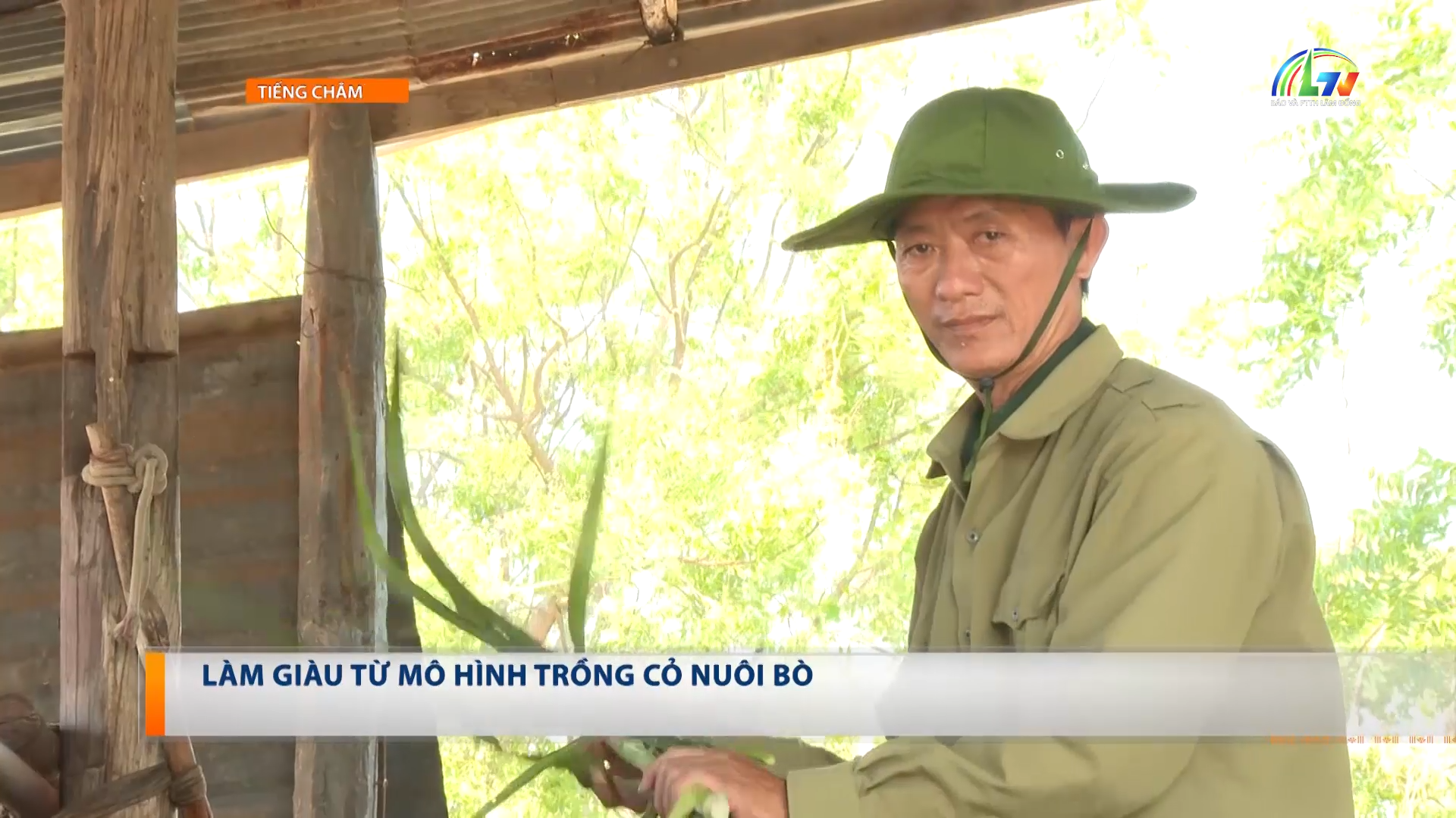 Tiếng Chăm ngày 19/6/2026