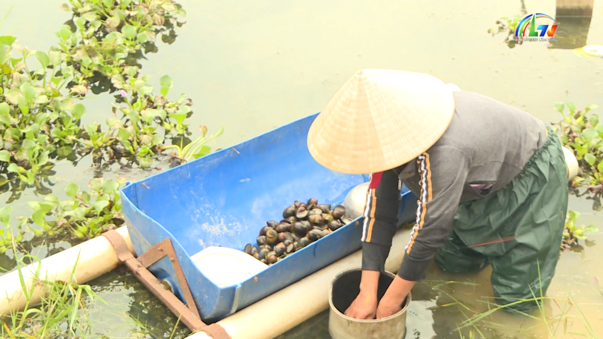 Dân vận khéo ngày 11/7/2026