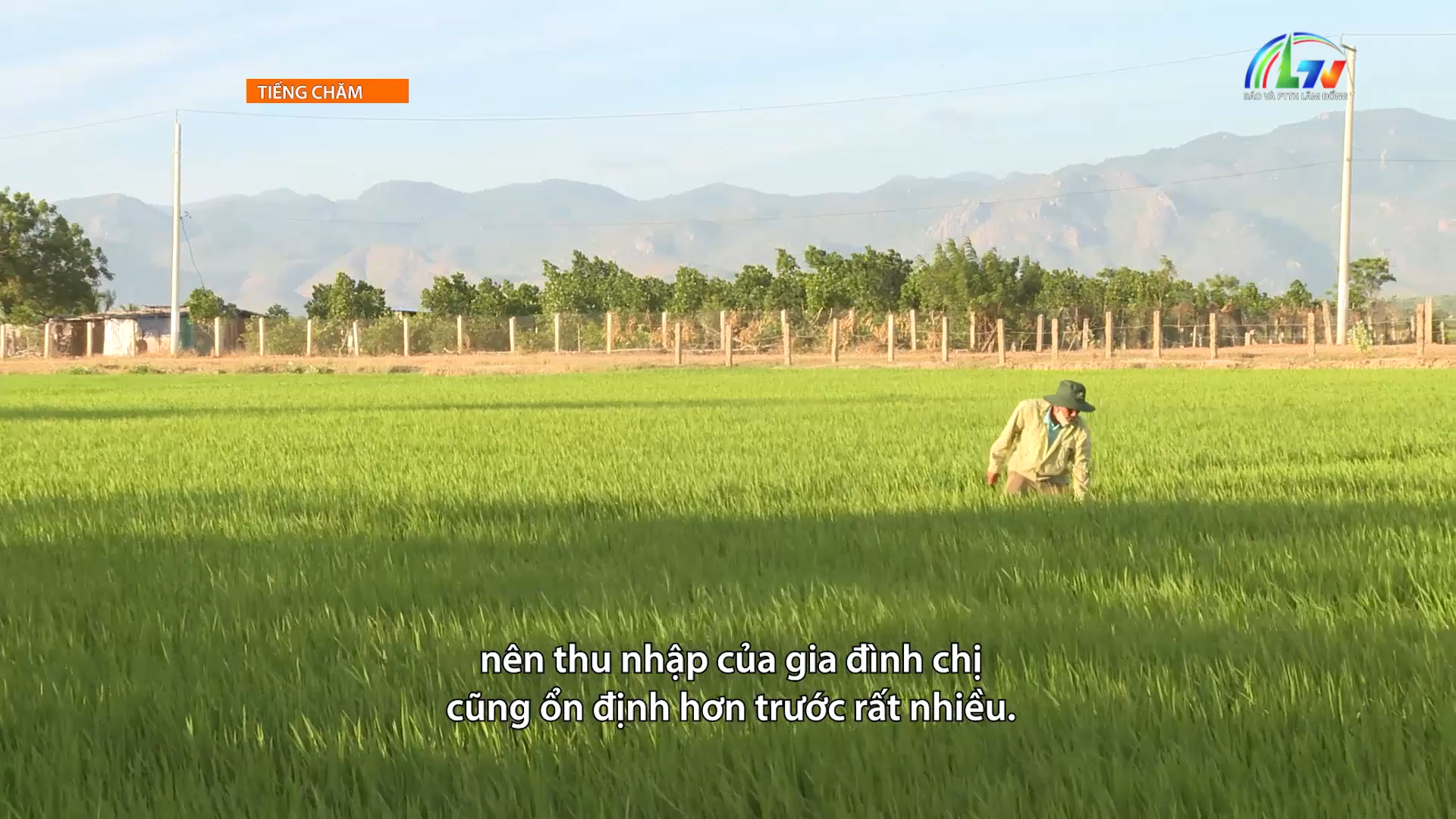 Tiếng chăm ngày 17/7/2026